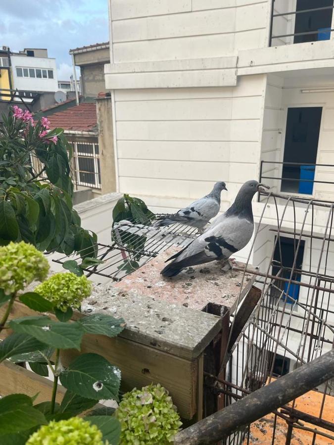 Central Apartment Kadikoy Terrace Bbq Close 2 Block Ferry Bull Metro Nighlife Istanbul Eksteriør bilde