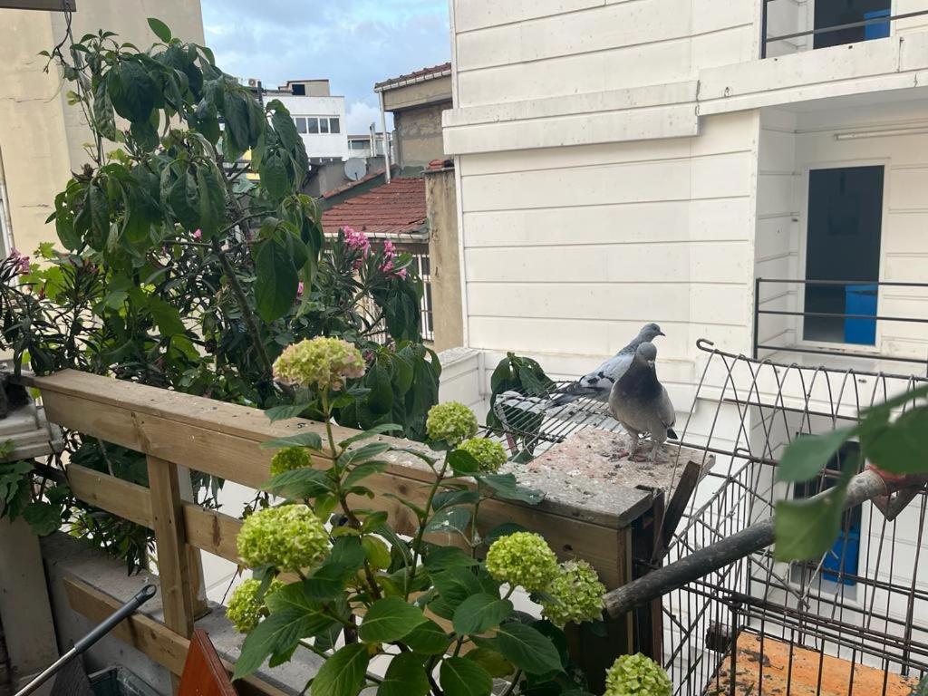 Central Apartment Kadikoy Terrace Bbq Close 2 Block Ferry Bull Metro Nighlife Istanbul Eksteriør bilde