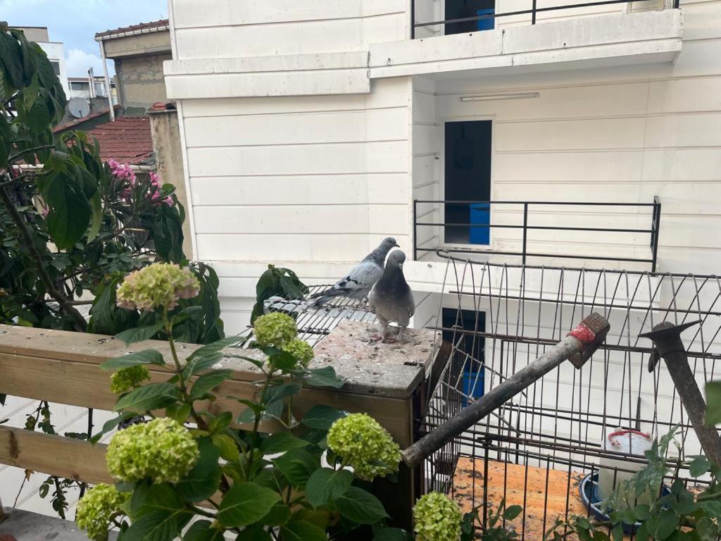 Central Apartment Kadikoy Terrace Bbq Close 2 Block Ferry Bull Metro Nighlife Istanbul Eksteriør bilde